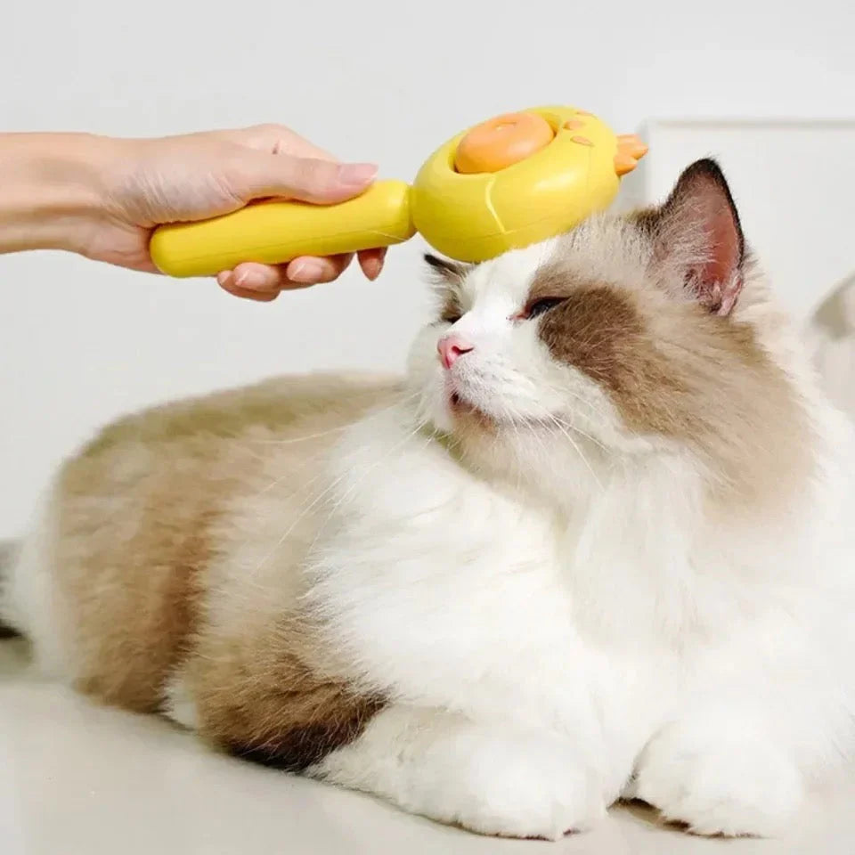 All-in-One Detangling Grooming Brush for Cat