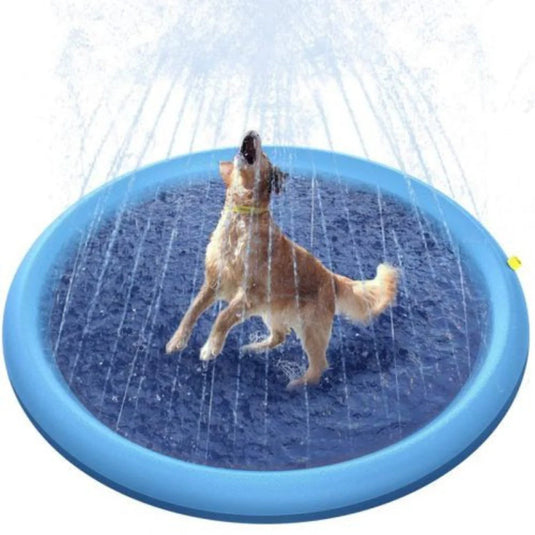 Pet Toys