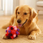 Interactive Pet Snuffle Ball for Mental Stimulation
