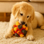 Interactive Pet Snuffle Ball for Mental Stimulation