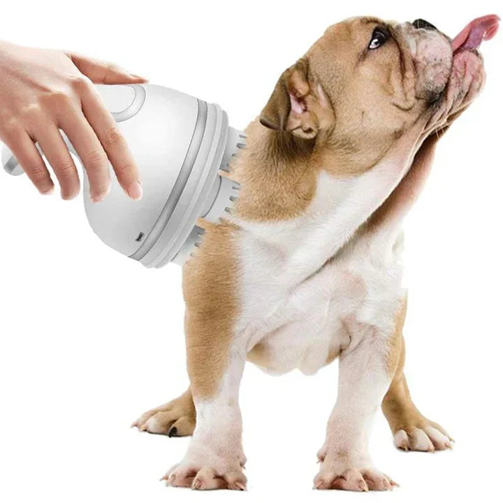 Pet Electric Head Massager for Dogs & Cats