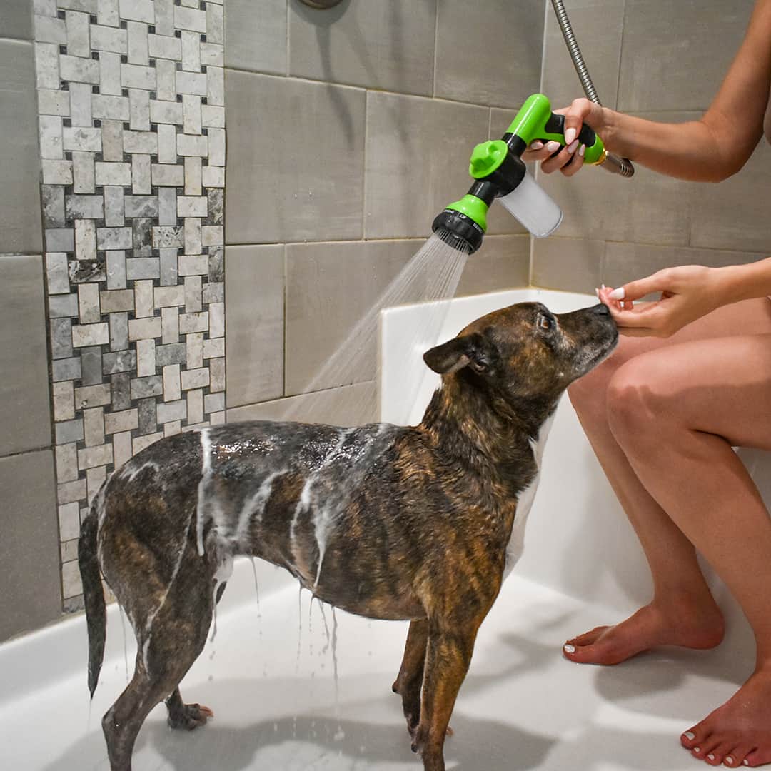 Pet Shower Sprayer with Shampoo Dispenser