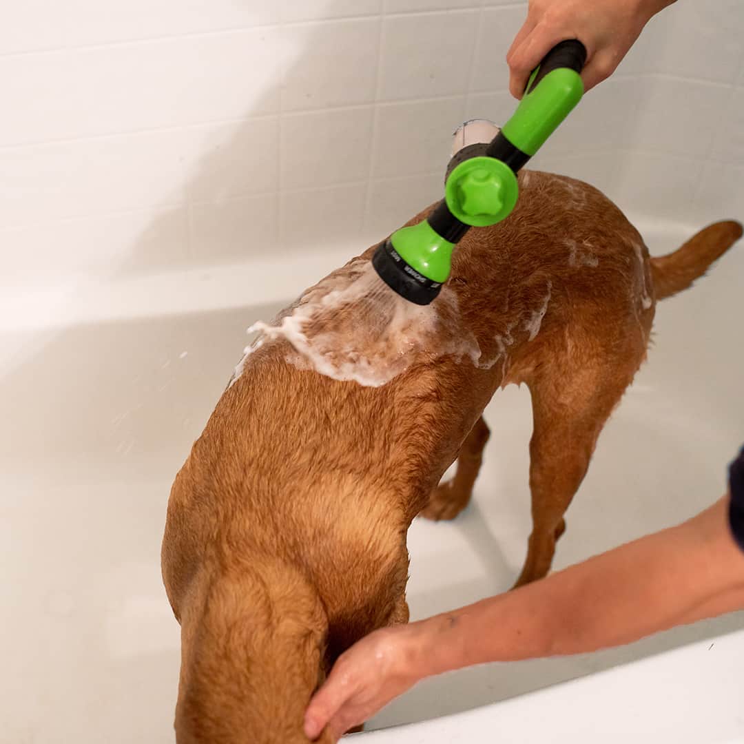 Pet Shower Sprayer with Shampoo Dispenser