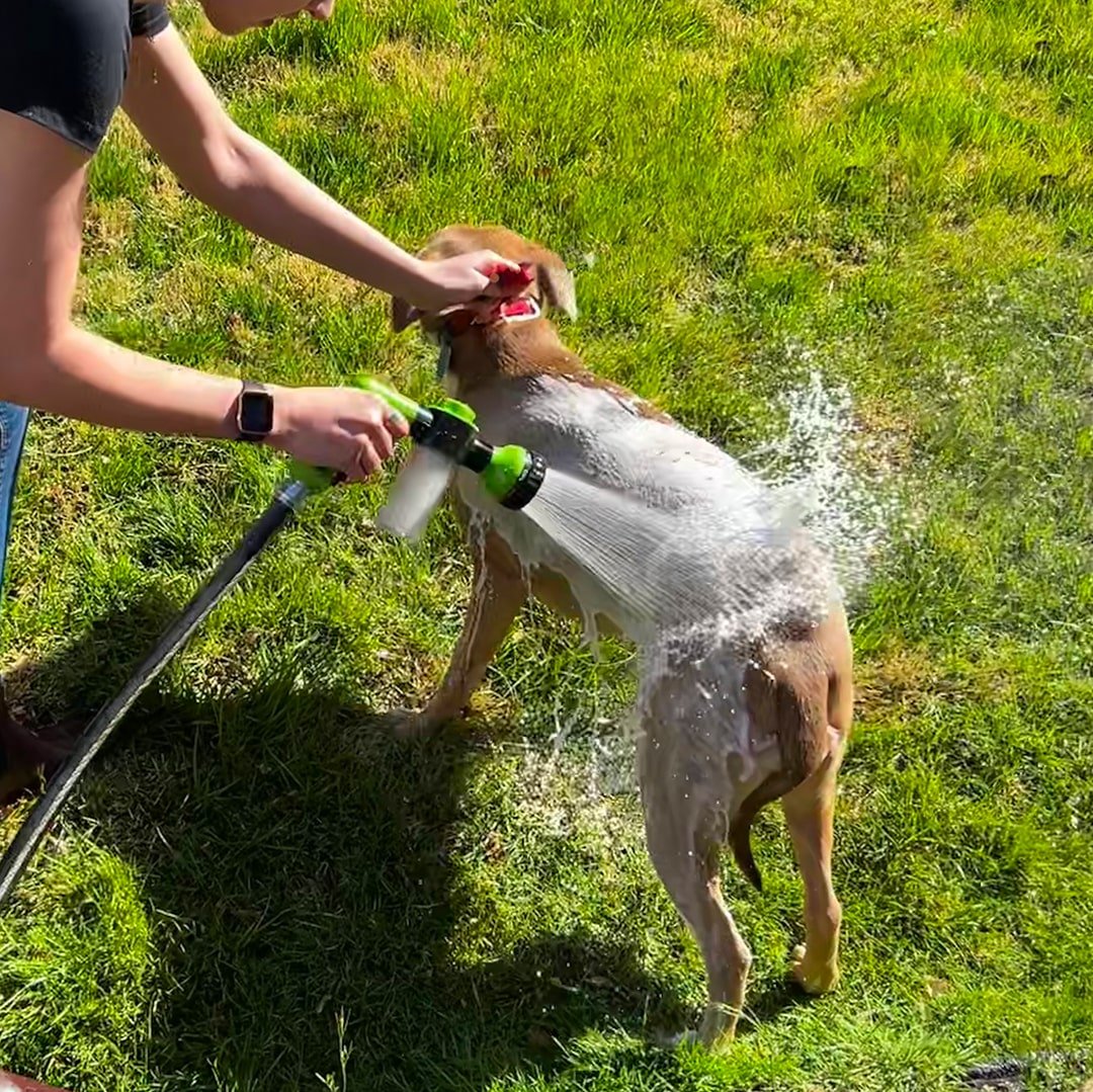 Pet Shower Sprayer with Shampoo Dispenser