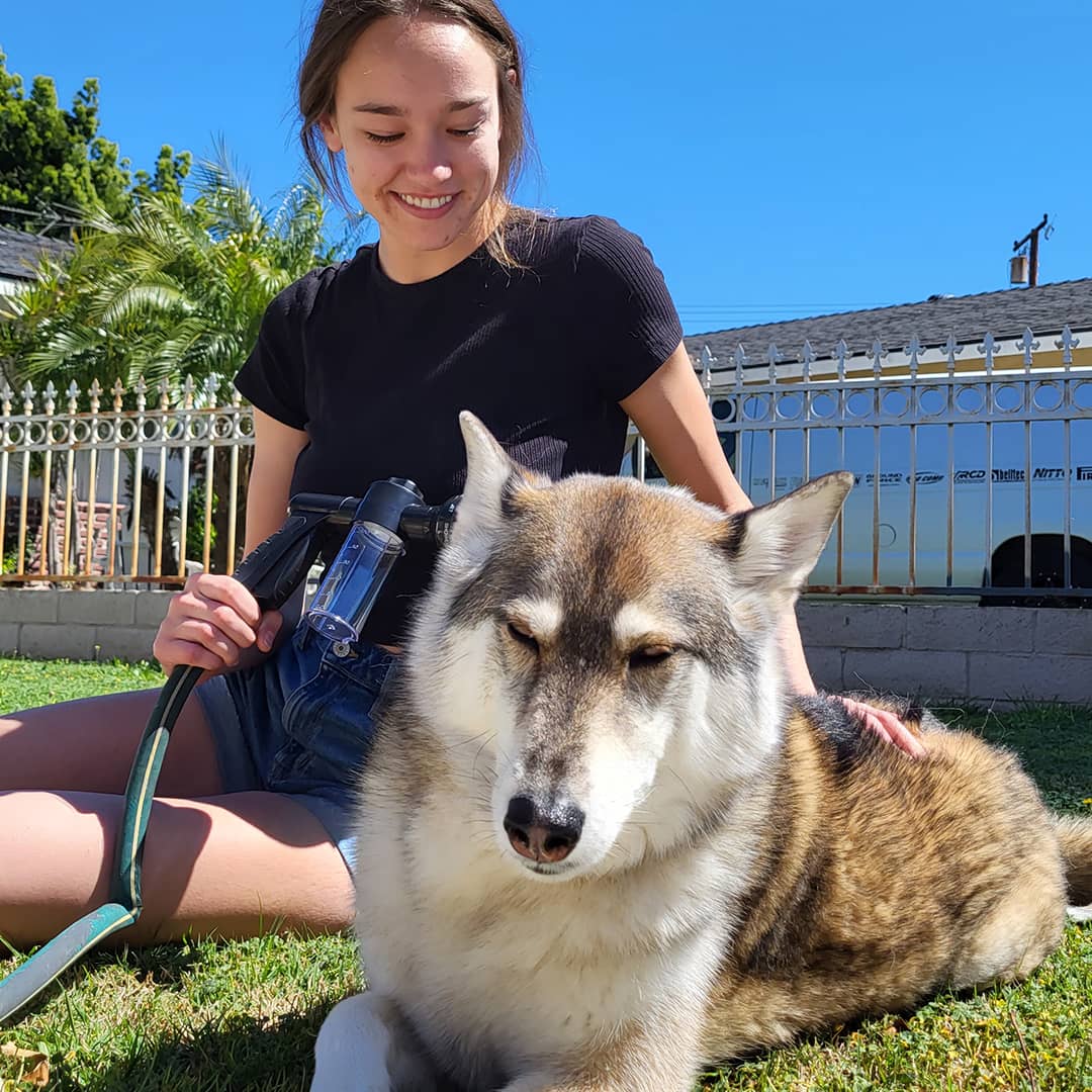Pet Shower Sprayer with Shampoo Dispenser