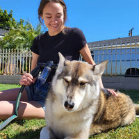 Pet Shower Sprayer with Shampoo Dispenser